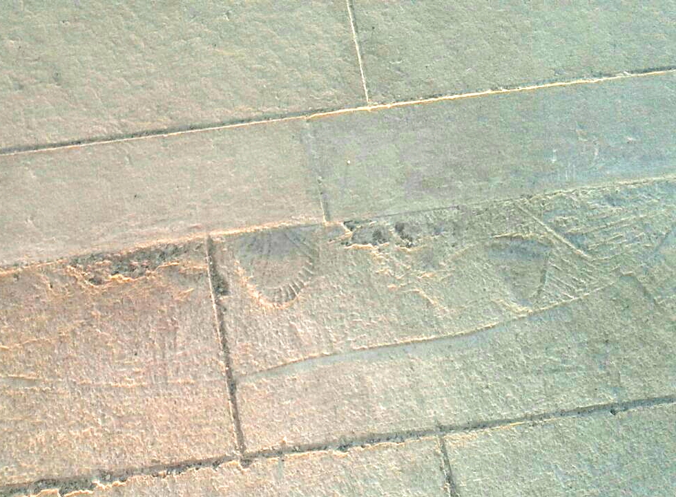 WhatsApp Image 2017-08-24 at 13.10.46