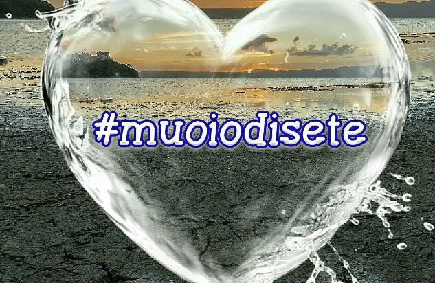 WhatsApp Image 2017-09-07 at 08.04.57